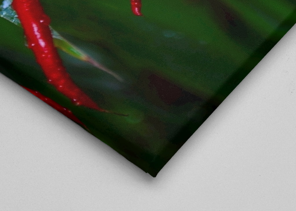 Still life with chili pepper