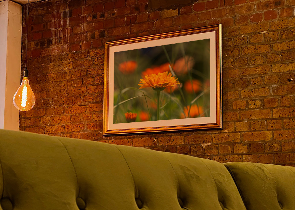 V plném rozsahu blom