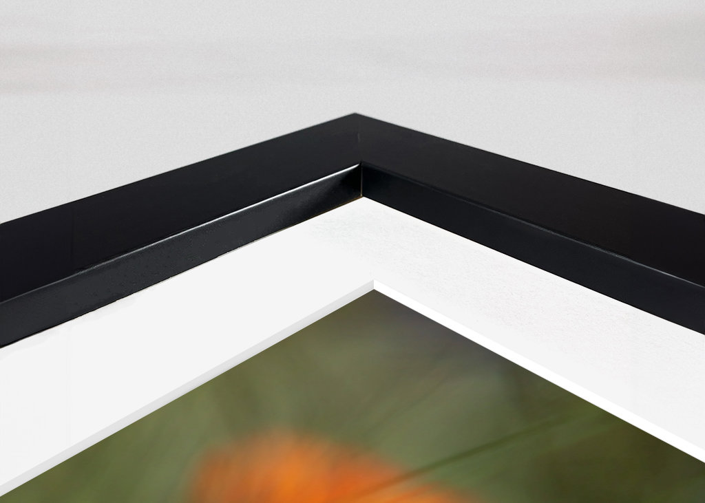 V plném rozsahu blom