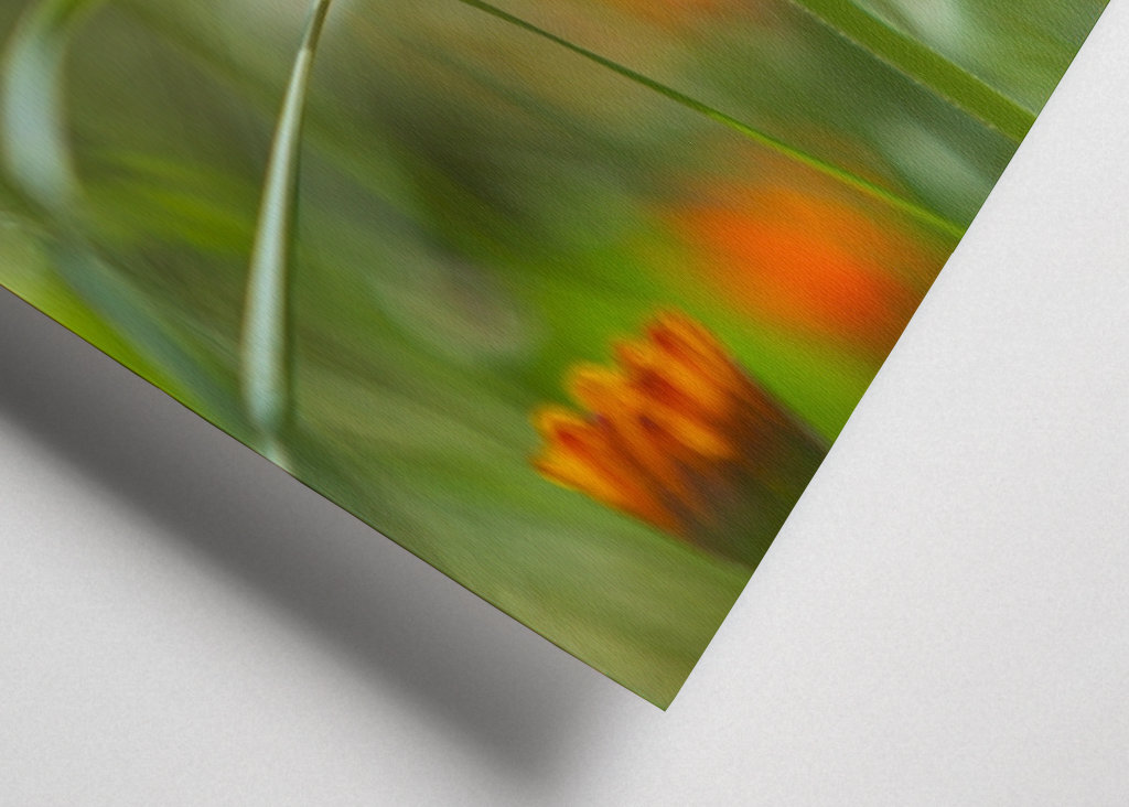 V plném rozsahu blom