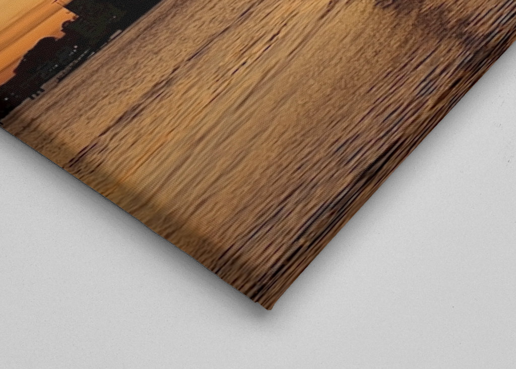 Kraner ved solnedgang 