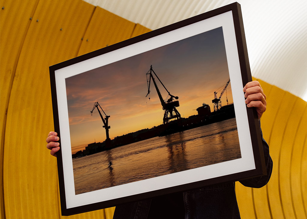 Kraner ved solnedgang 