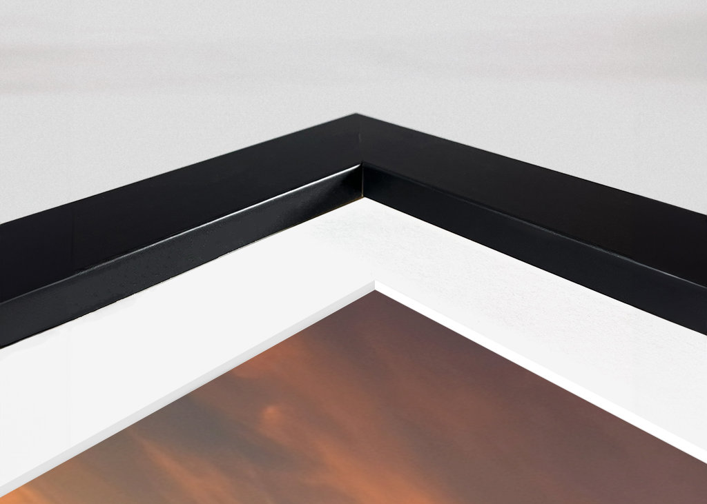 Kraner ved solnedgang 