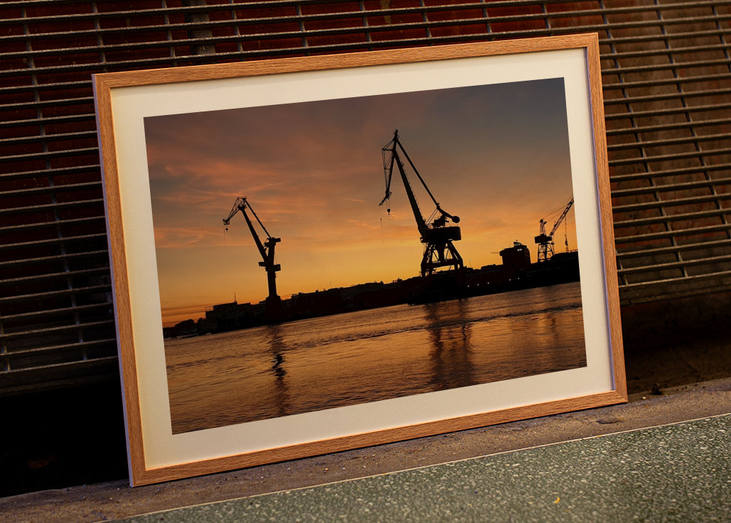 Kraner ved solnedgang 