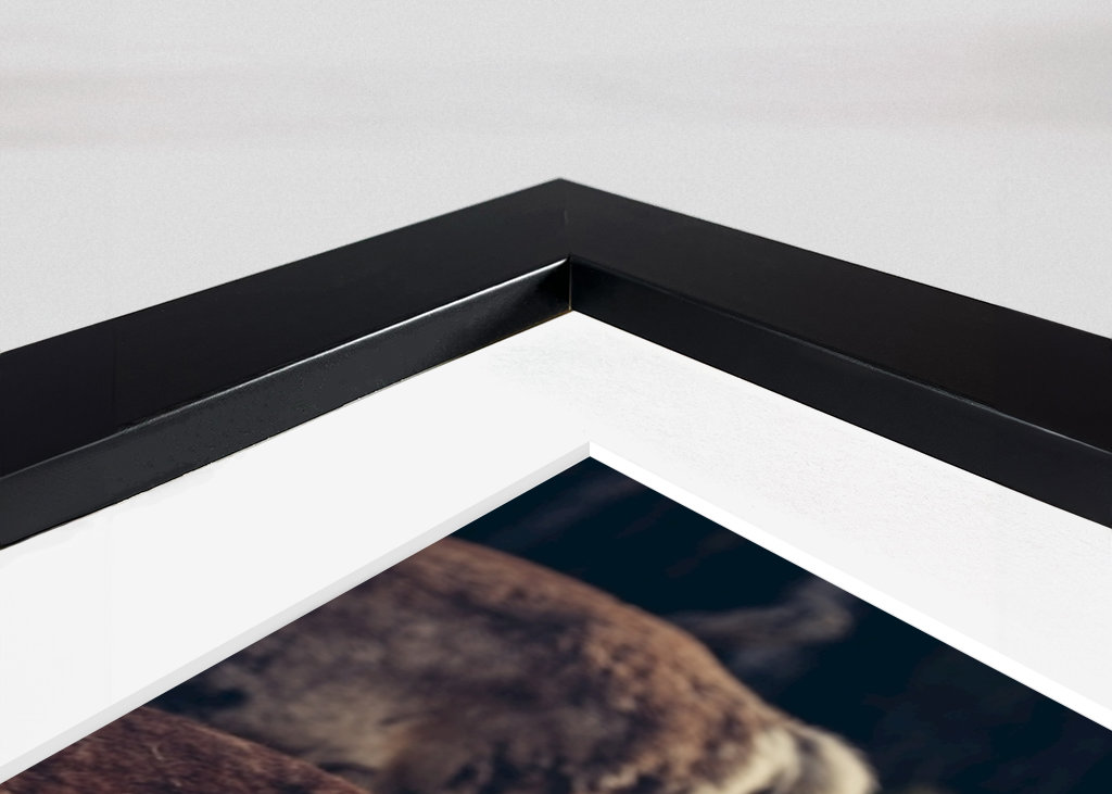 Weißes Rentier im Urwald 