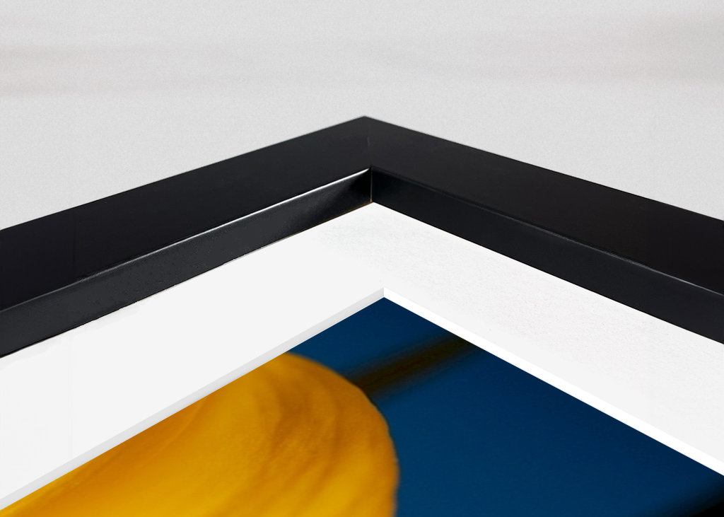 Pétalos de girasol detalle