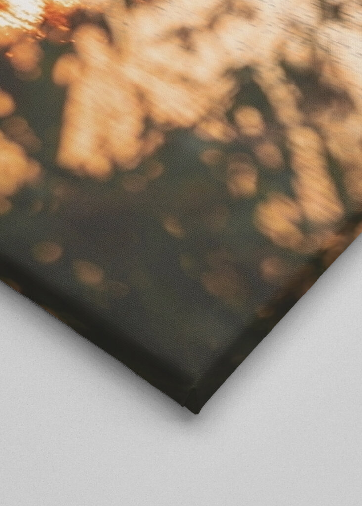 Malmö - Sonnenuntergang über dem Meer