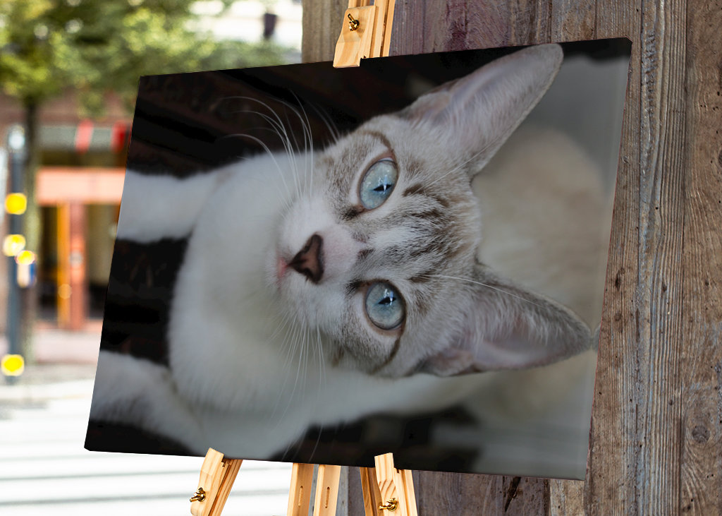 Shimmering Tints of the Soul