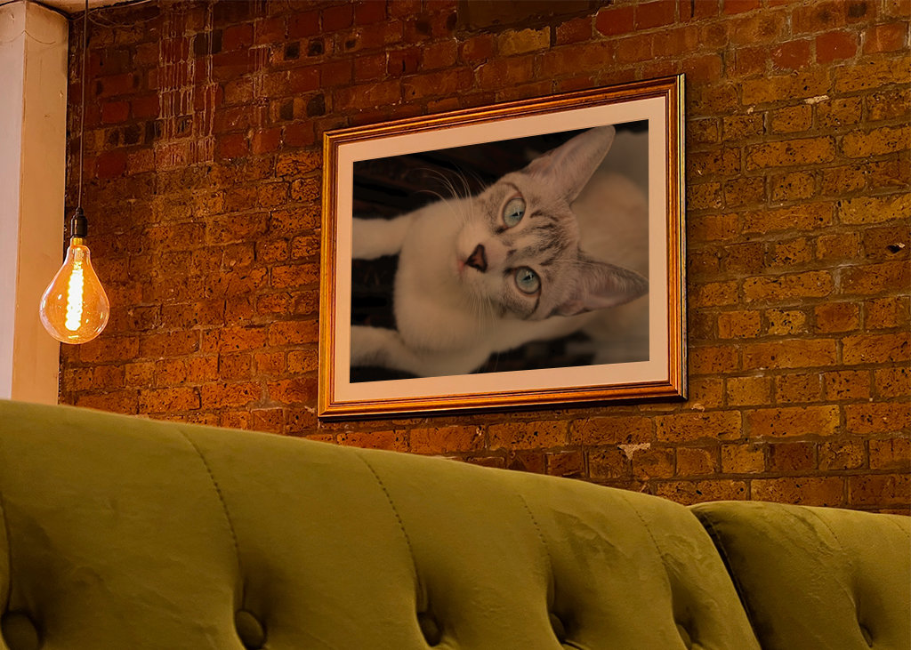 Shimmering Tints of the Soul