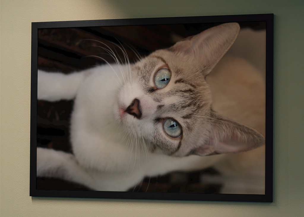 Shimmering Tints of the Soul