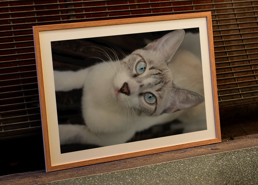 Shimmering Tints of the Soul