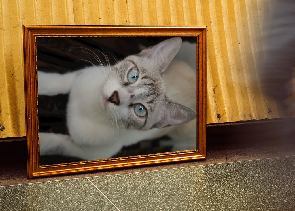 Shimmering Tints of the Soul