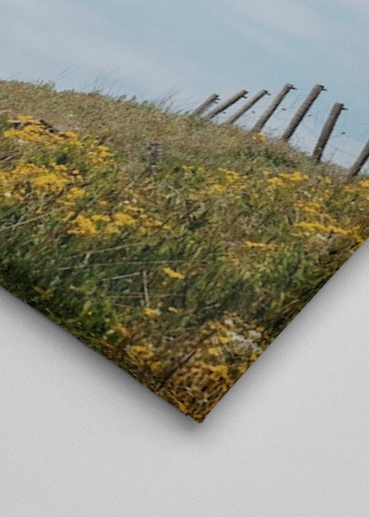 Backarna vid Kåseberga