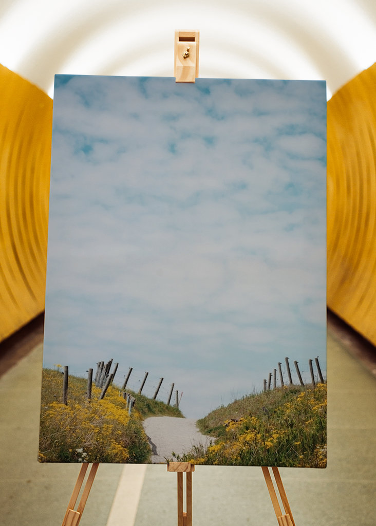 Backarna vid Kåseberga