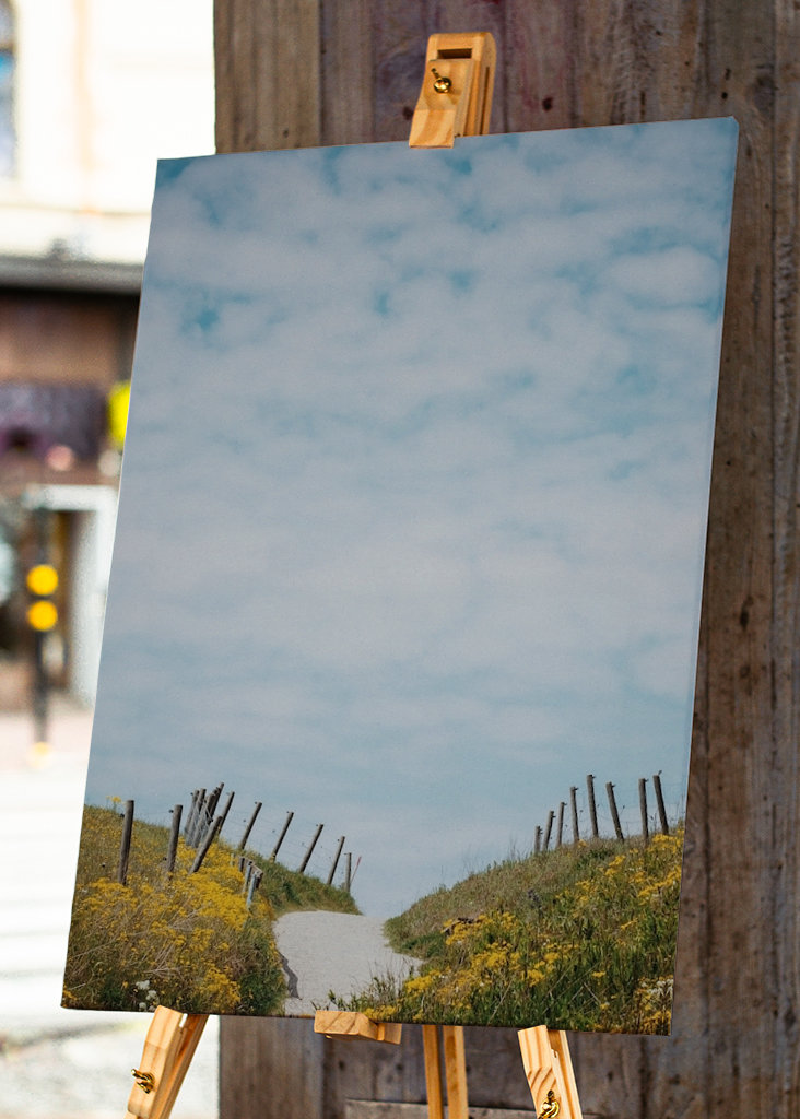 Backarna vid Kåseberga