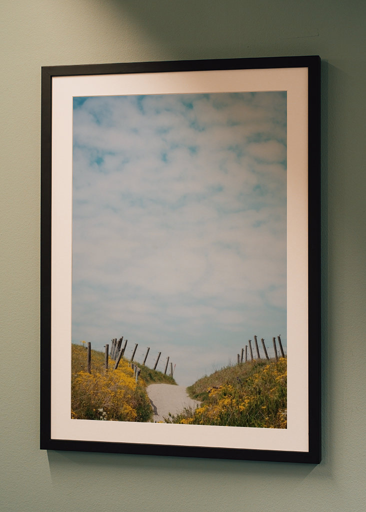 Backarna vid Kåseberga