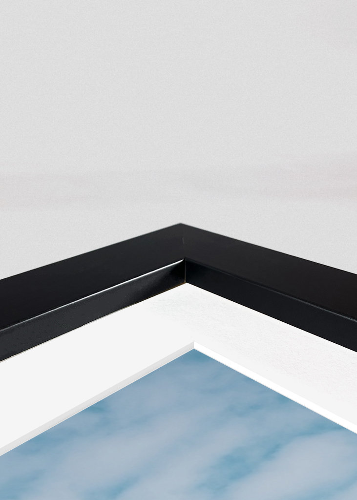 Backarna vid Kåseberga