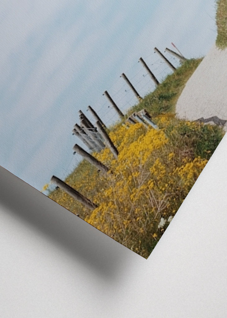 Backarna vid Kåseberga