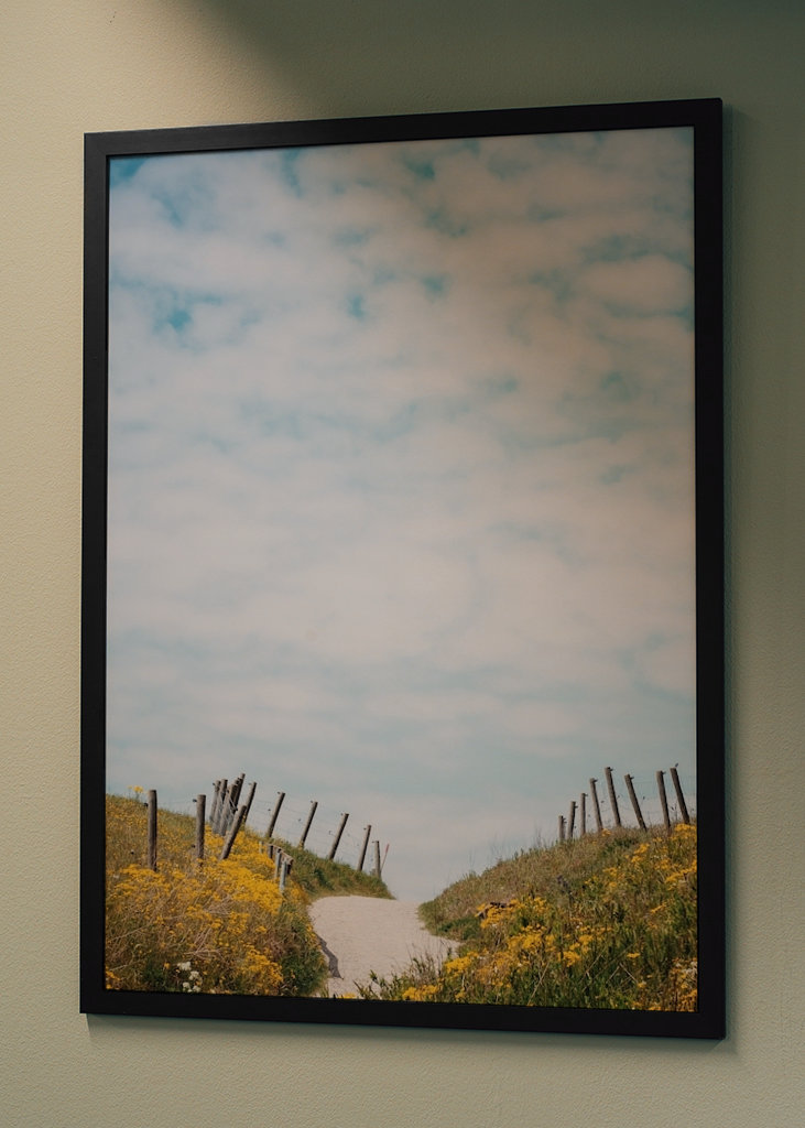 Backarna vid Kåseberga