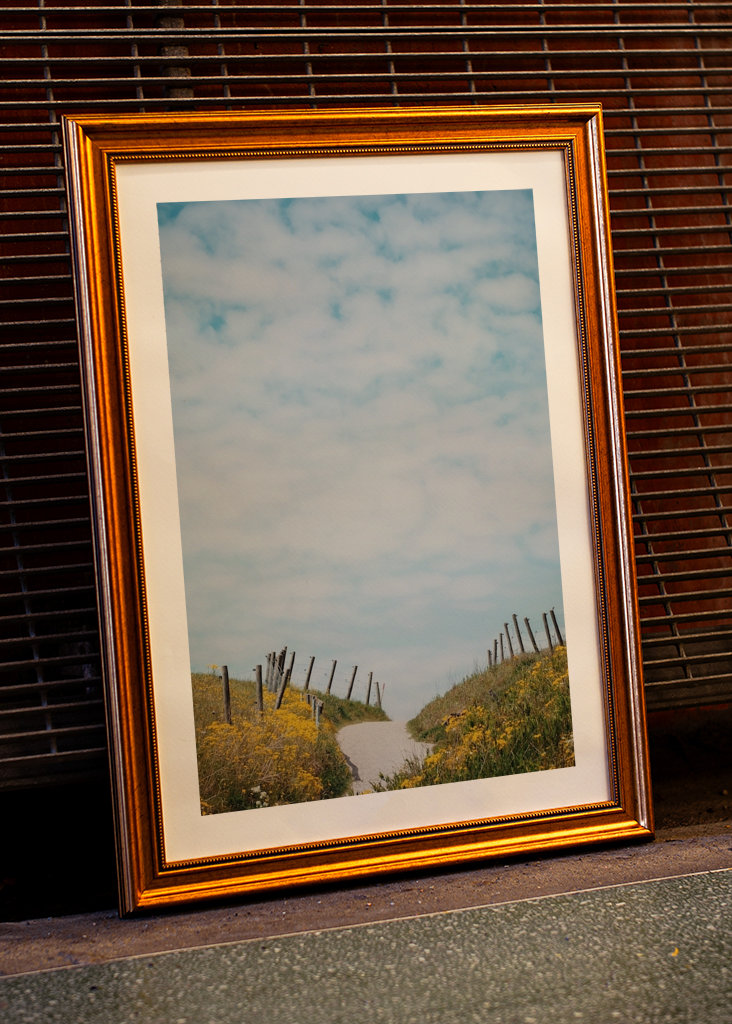 Backarna vid Kåseberga