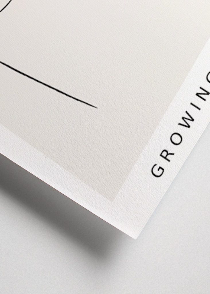 Growing flowers No. 4