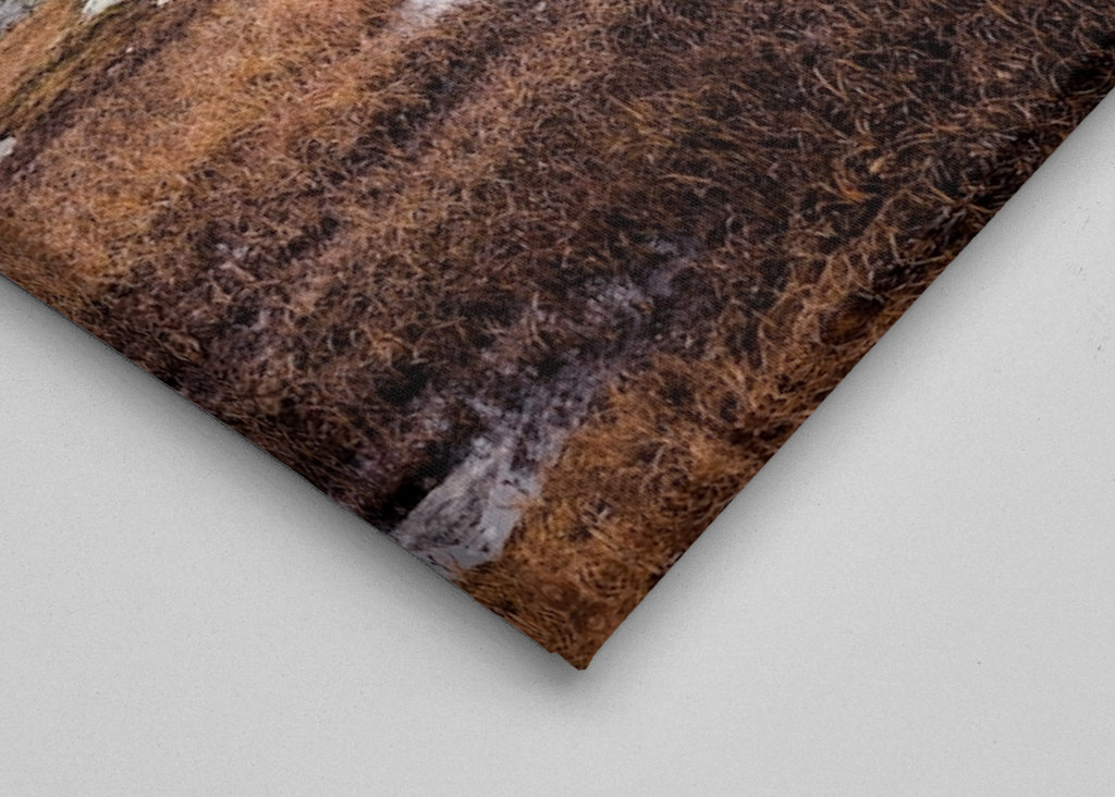 Mullfjället in Åre