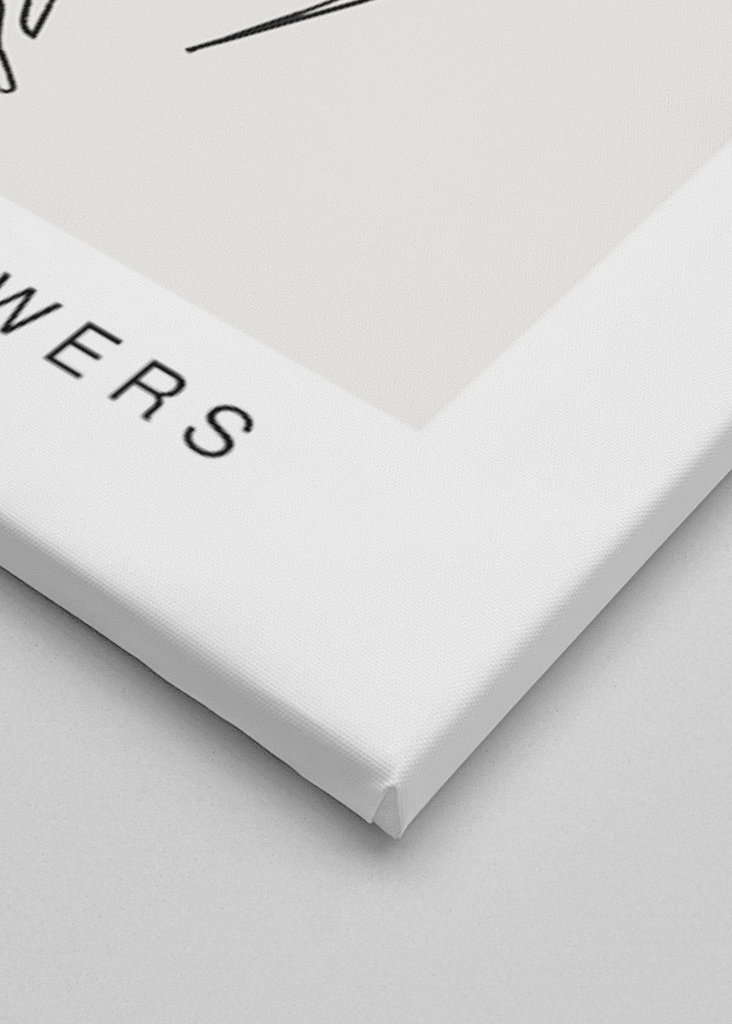 Growing flowers No.2