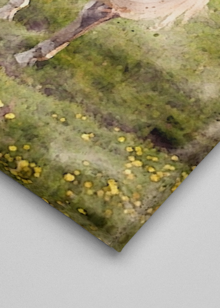 White horse on beach meadow 