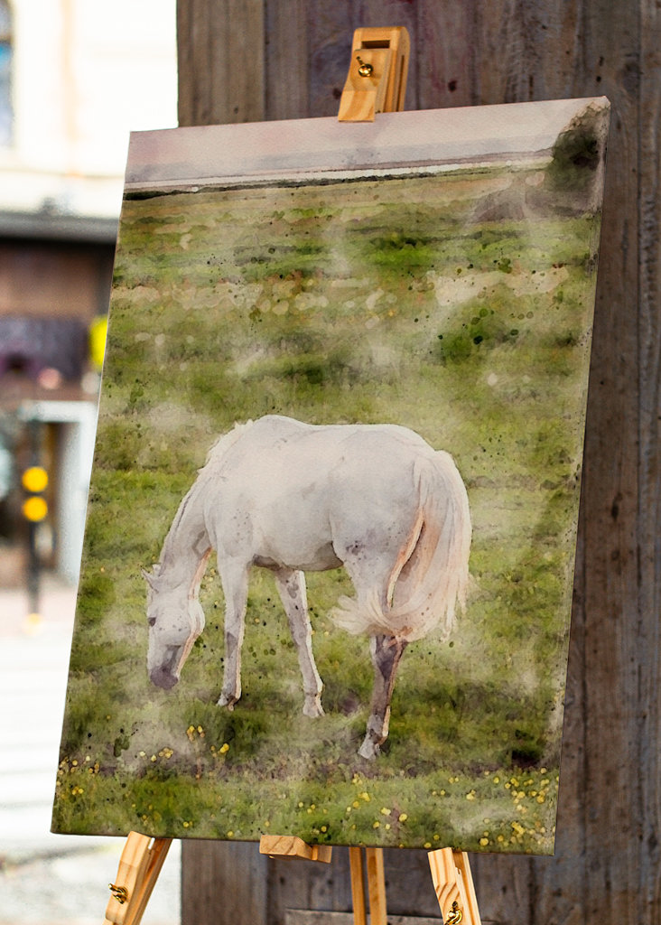 White horse on beach meadow 