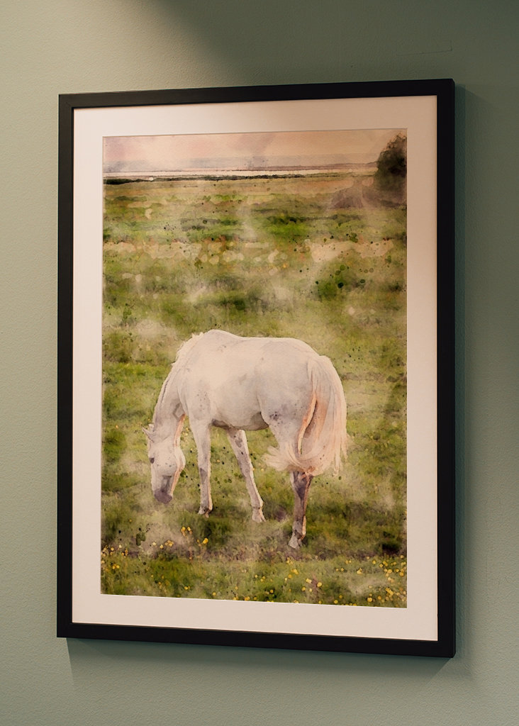 White horse on beach meadow 
