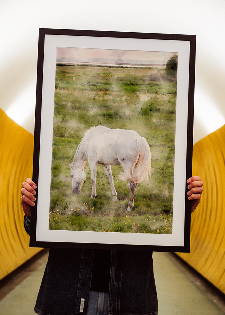 White horse on beach meadow 