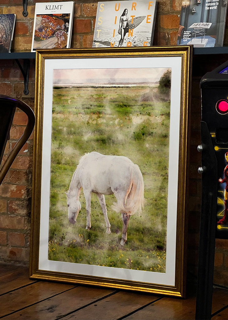 White horse on beach meadow 