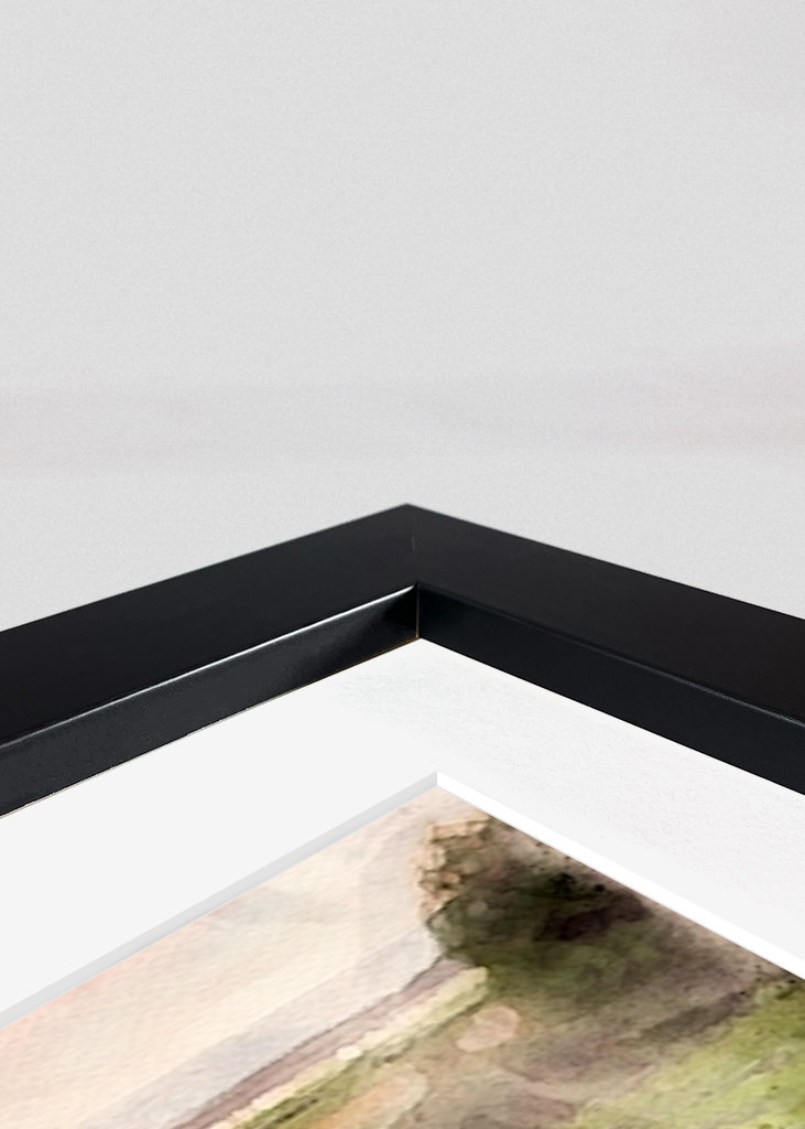 White horse on beach meadow 