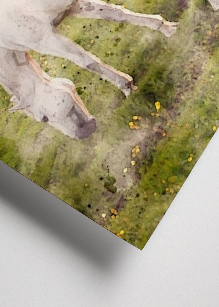 White horse on beach meadow 