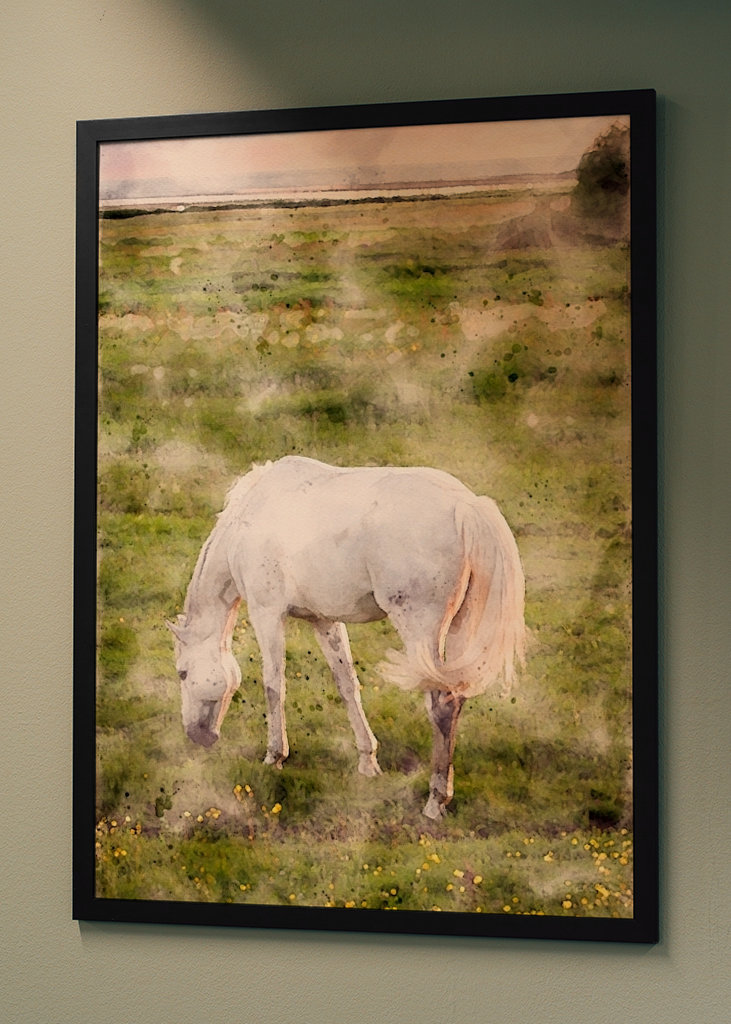 White horse on beach meadow 