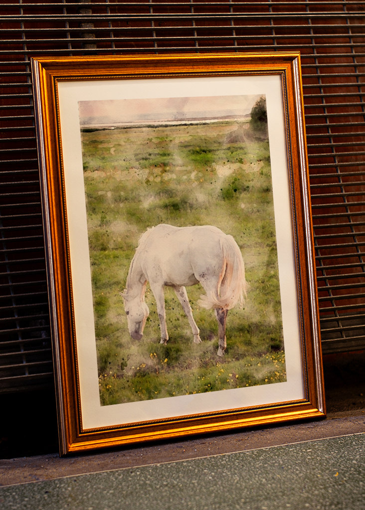 White horse on beach meadow 