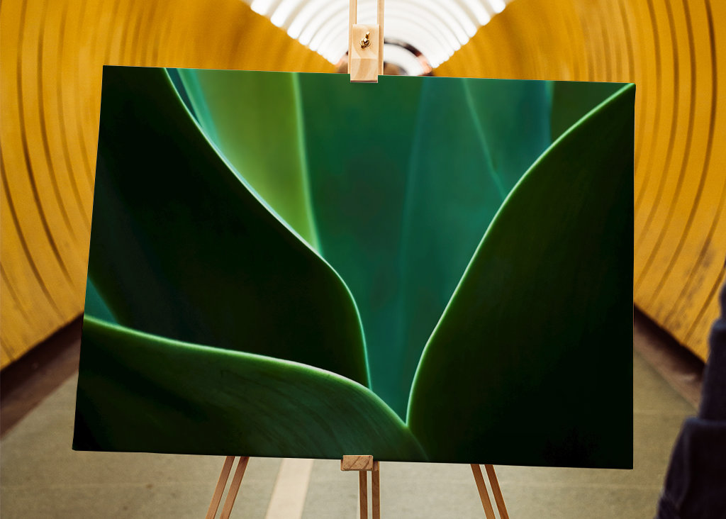 A természet ritmusa III