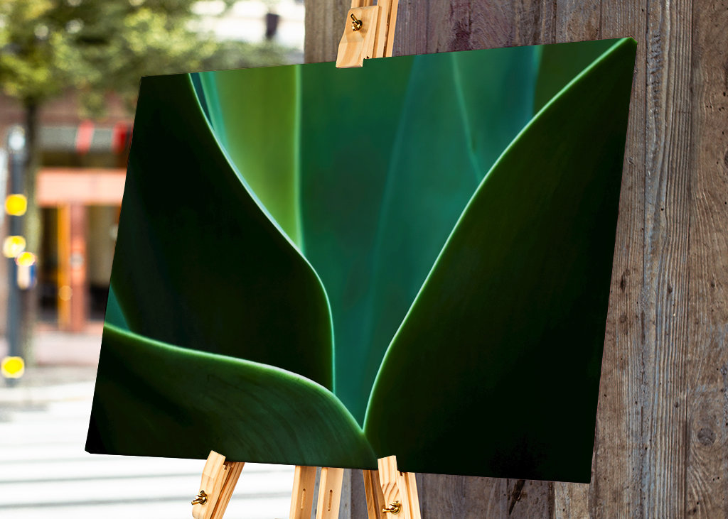 A természet ritmusa III