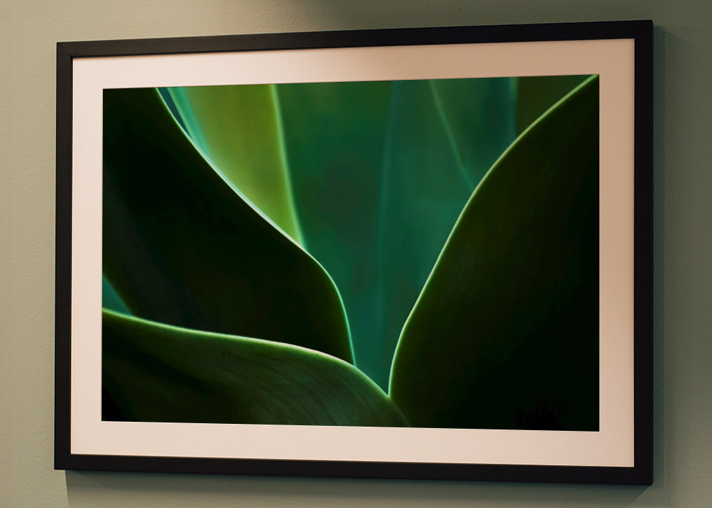 A természet ritmusa III