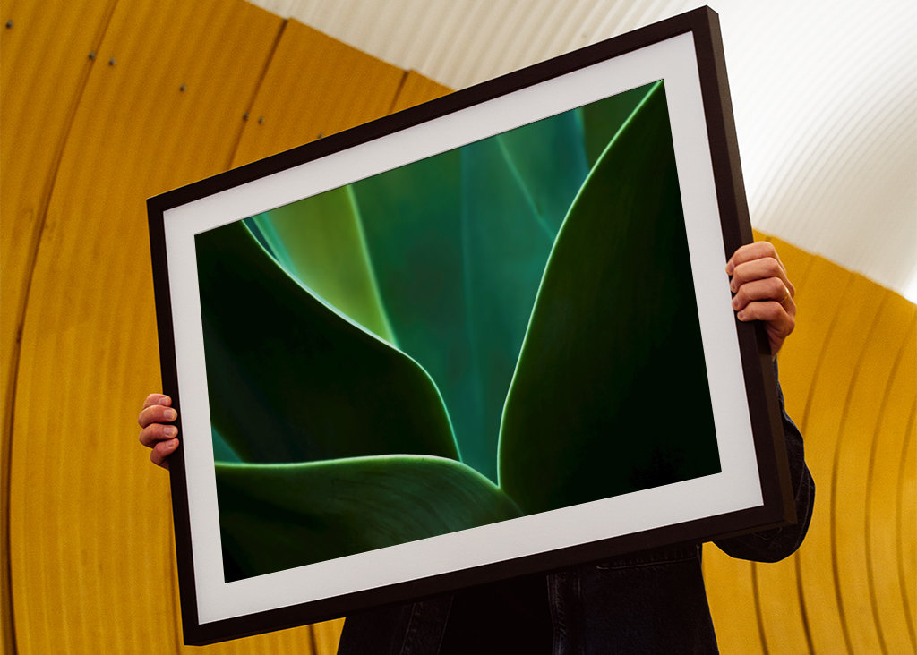 A természet ritmusa III