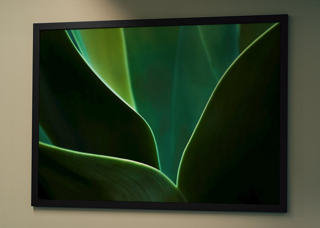 A természet ritmusa III