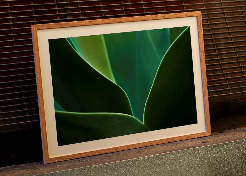 A természet ritmusa III