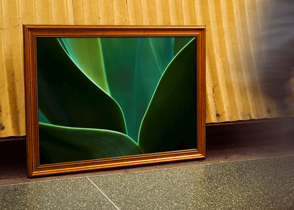 A természet ritmusa III