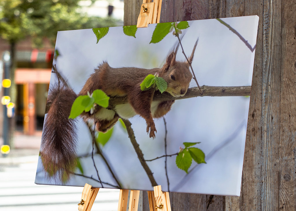 Maanantai. Paras päivä koko viikolla.