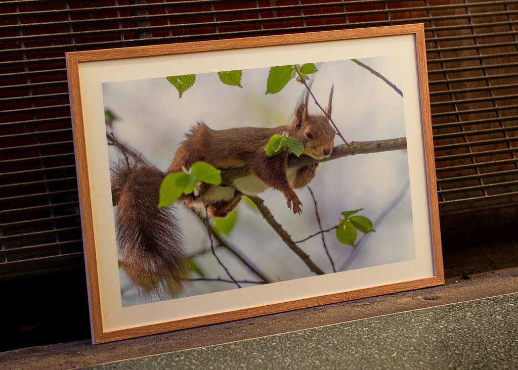 Maanantai. Paras päivä koko viikolla.