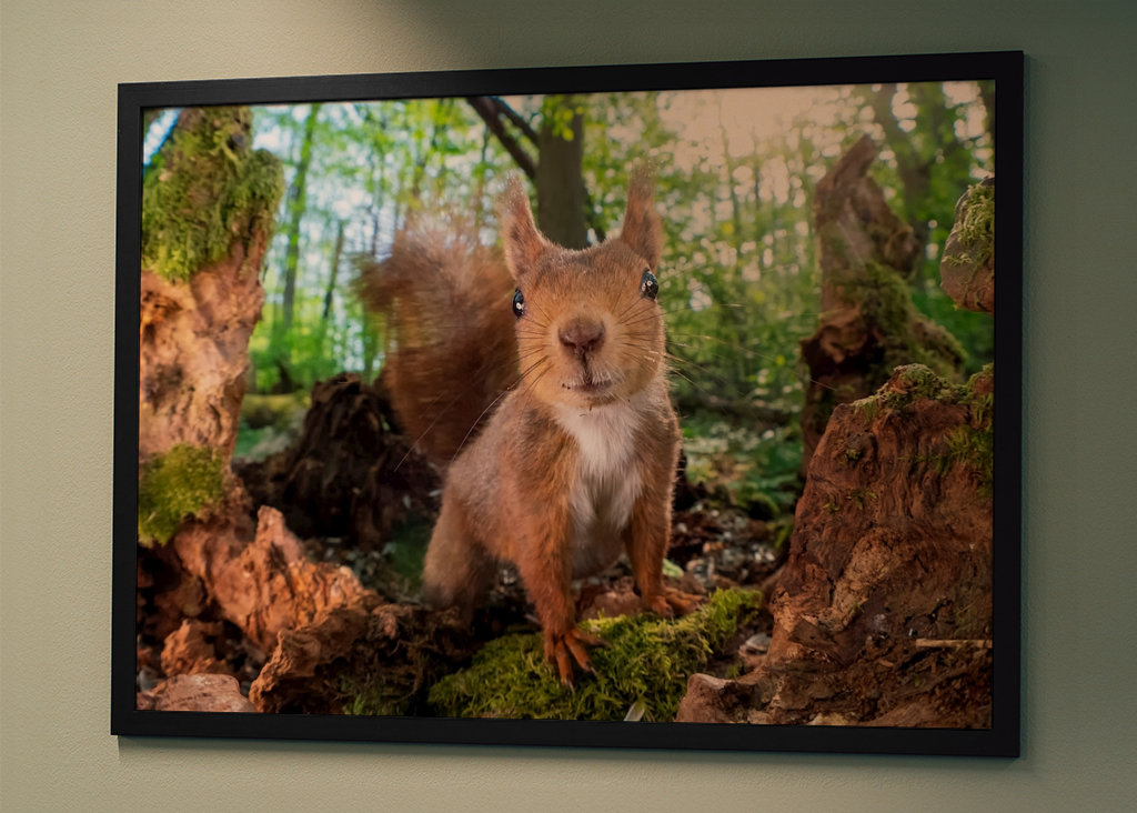 Täydellinen poseeraus