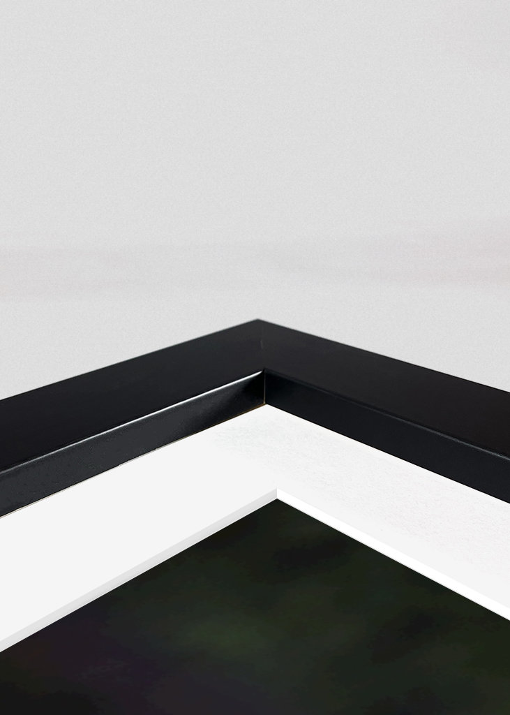 Oso a la luz del atardecer