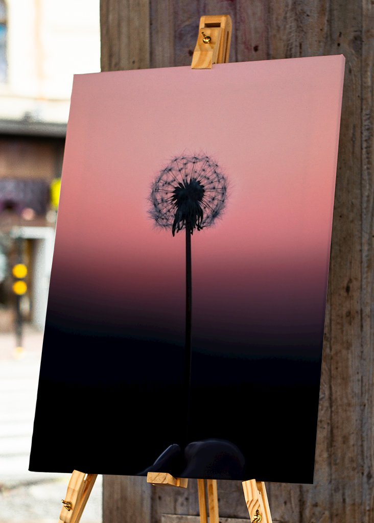 Löwenzahnball - Abbildung 1