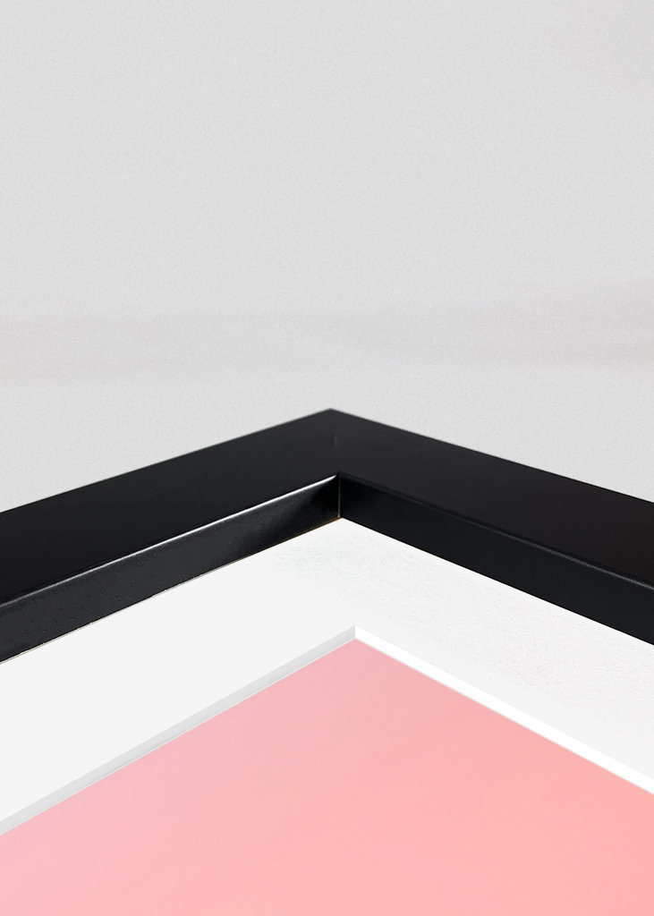 Löwenzahnball - Abbildung 1