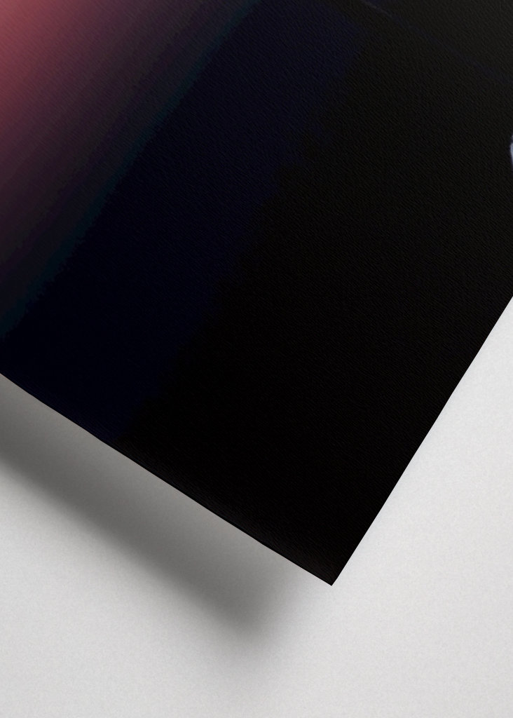 Löwenzahnball - Abbildung 1